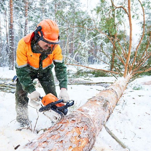 Cutting in Cold Weather