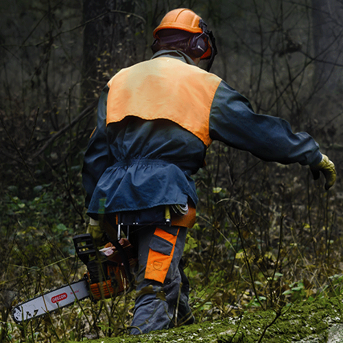 Man carrying chainsaw with DuraCut Guide Bar