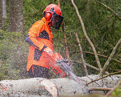 Forestry & Tree Care