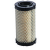 Air Filter-Briggs and Stratton
