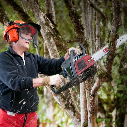 Forestry & Tree Care